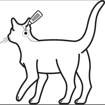 cid:image002.jpg@01D0711A.D2B39FE0