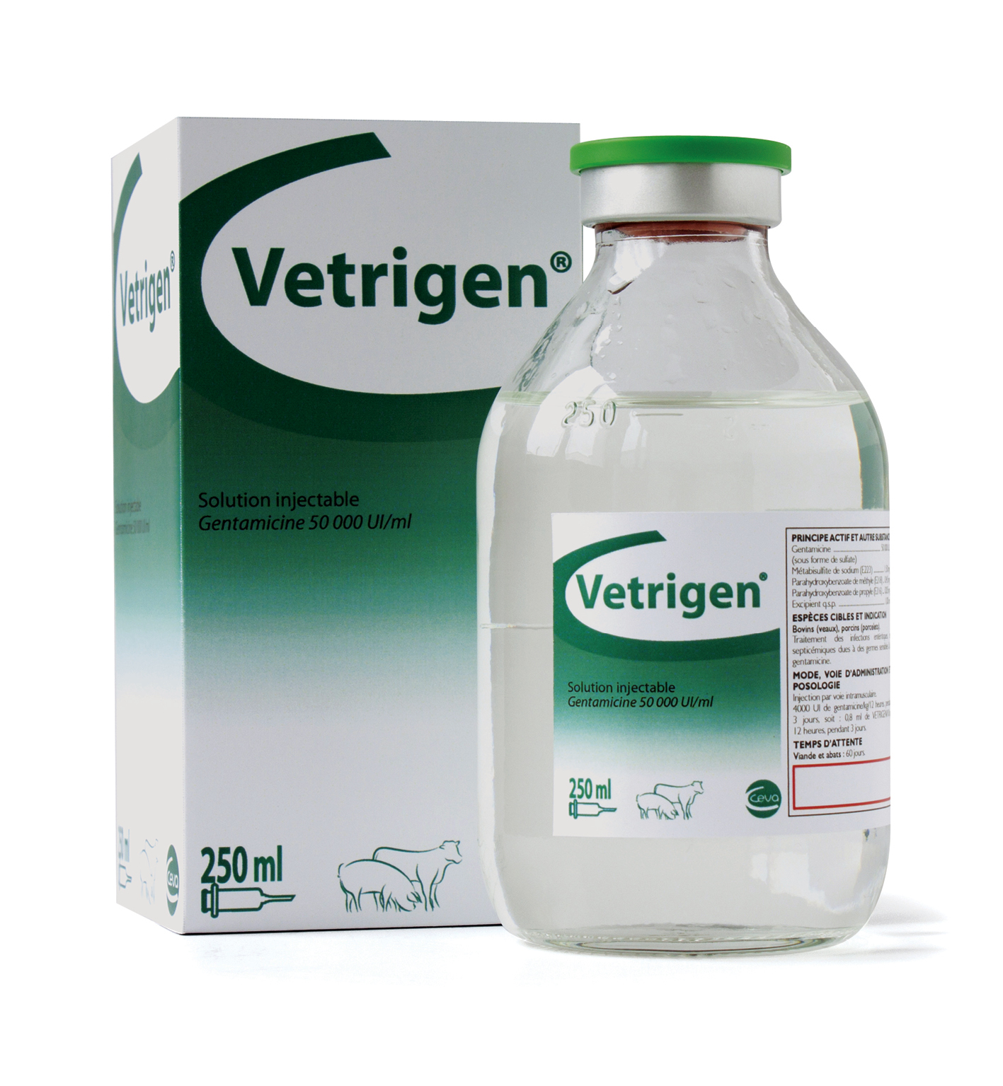 Utilisation de la fluorescéine en cabinet vétérinaire - VETOPEDIA