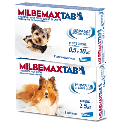 Quand utiliser le vermifuge Milbemax pour mon chien ?