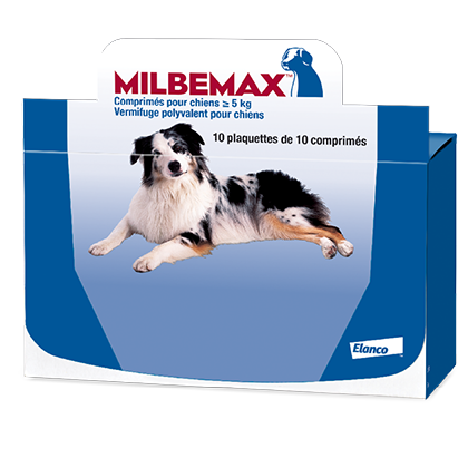 Milbemax, vermifuge pour chiens : protection gastro-intestinale