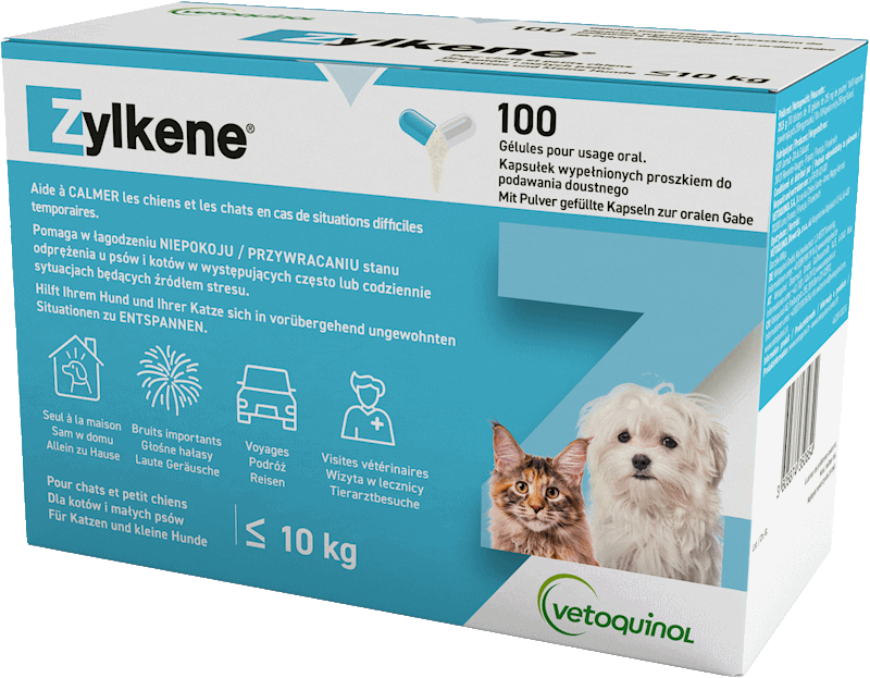 Conseil Vétérinaire - Blog - Le complément alimentaire Zylkène : pour des  vacances sereines sans son chat