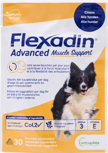 Packshot FLEXADIN ADVANCED Muscle Support comprimé .png